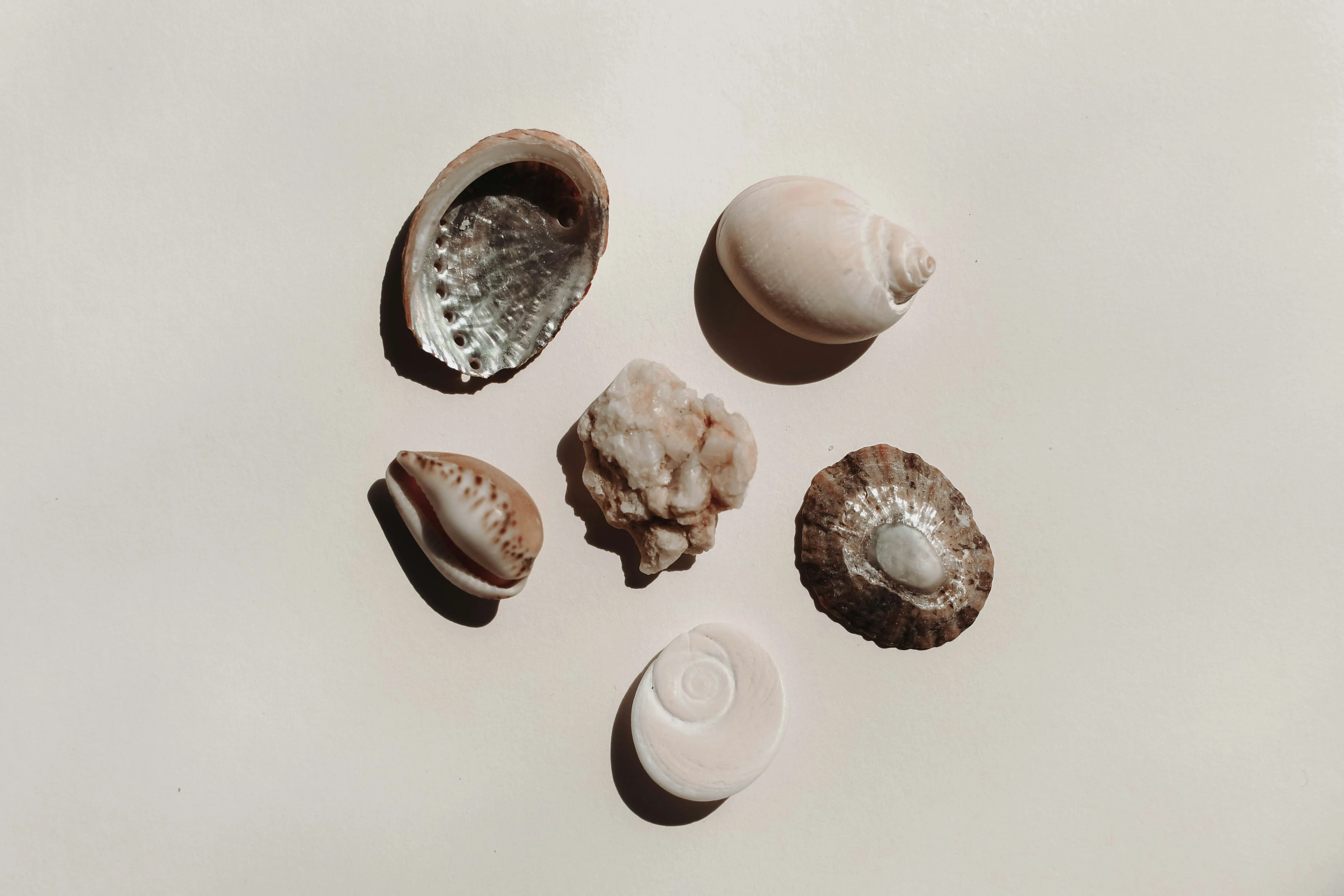 Featured image of post 机器学习 17 神经网络 II:梯度消失和爆炸